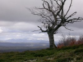 Entorno del monte Dobro