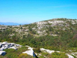 Repico desde la cima de Coronas.