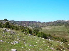 A la izda Alto Coronas,a la dcha Repico.