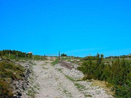 Portillo de Melania.