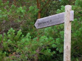 Desde el collado seguimos las indicaciones.