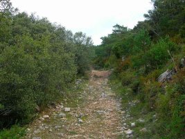 Dejamos atr?s el angosto sendero para encaminarnos por ancha pista hasta el collado de Santa Ana.