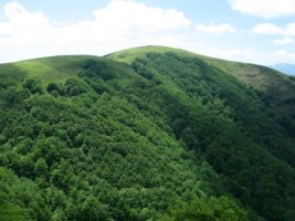 Iparraldeko isurialdea