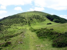 Ekialdeko bizkarretik