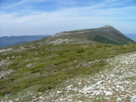 UMIÓN FLOR MENDITIK IKUSITA