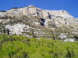 Hego-mendebaldeko hormak