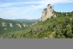 Aranbaltza aldeko haitza