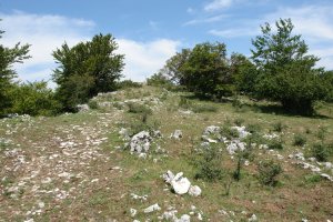 Tontorraren inguruak