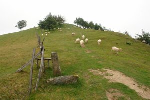 Tontorra mendebaldetik