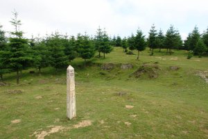 Antzeta aldeko lepoa