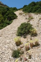 Palomares - Larrasa zeharkaldia