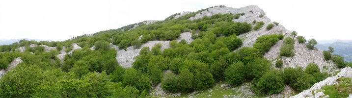 Hego-mendebaldetik ikusita