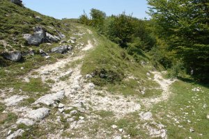 San Juan mendatetik behera abiatzen den bidea