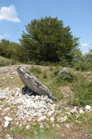 Trikuharria San Juan mendatetik gertu