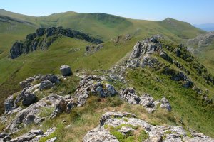 Etitzegi aldeko gandorra