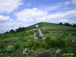 A Los Que No Volvieron a Casa