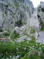 Puente Poncebosetik Bulnesera doan bidearen hasiera