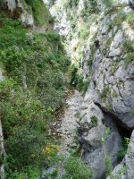 Arroilaren goialdean