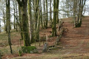 Bertizko parkearen eremua mugatzen duen hesia