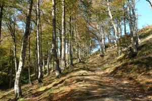 Santio bidea Ibanetara igotzen