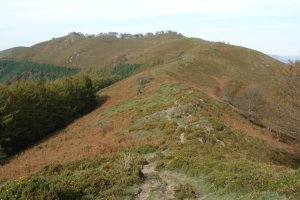 Asketa HEko bizkarretik