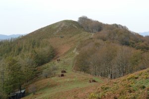 Azkua aldeko bideko pasarte bat