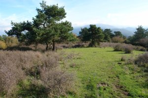 Tontorraren inguruak