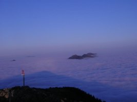 Uharte bat belainoan