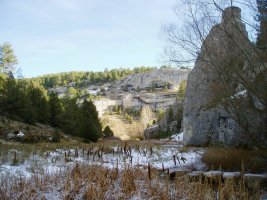 Arroilaren erdialdeko paisaia