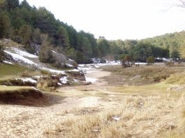 Arroilaren goialdeko paisaia