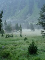 Pletiu dera Montanheta