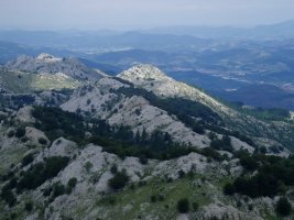 Artatxaganetik ikusita