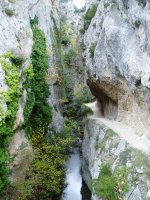 Puron errekaren arroila