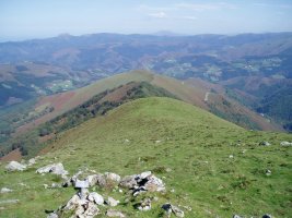 Ipar-ekialdeko hegia, Auntz Bizkar