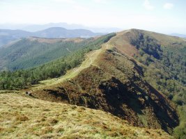 Hego-ekialdetik ikusita