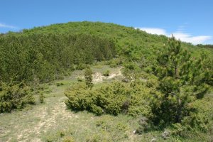 Hegoaldeko isurialdea, tontorretik gertu