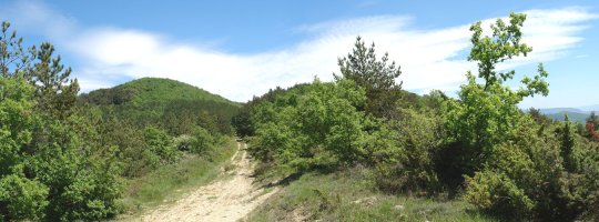 Iriso aldeko bidetik ikusita