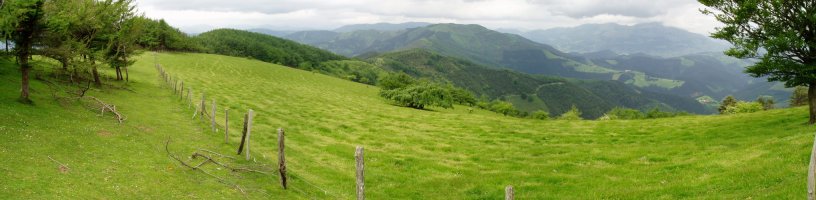 Mendebaldeko bizkarreko larreak