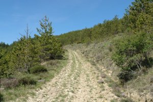 Tabar herritik Loiti mendatera abiatzen den bidea