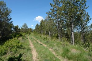 HMko bizkarreko bide zabala