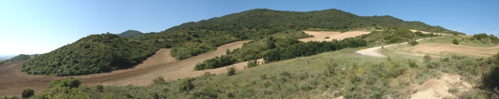 Zirauki aldeko bidetik ikusita