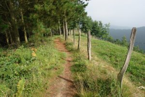 Bidea, tontorraren inguruan