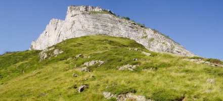 Ipar-ekialdetik ikusita