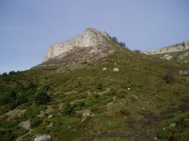 Hego-ekialdeko muturra