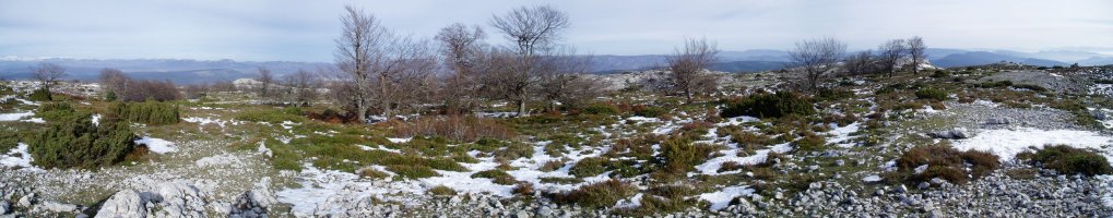 Tontorraren inguruak