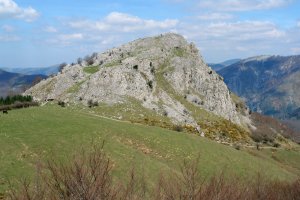 Urdileko lepoaren ingurutik