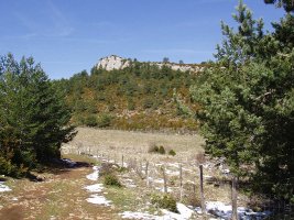  Bezea edo Larraun (1195m)