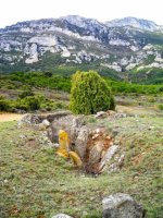 Laiazako trikuharria 