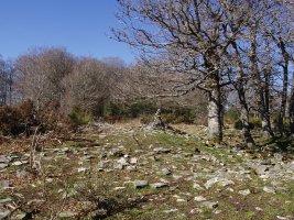 Bizkailuz, hau ez da gailurra...