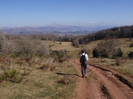 Bizkailuztik Tornuela leporantz